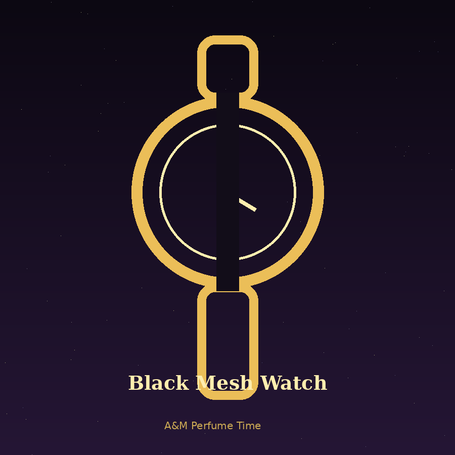 Black Mesh Watch